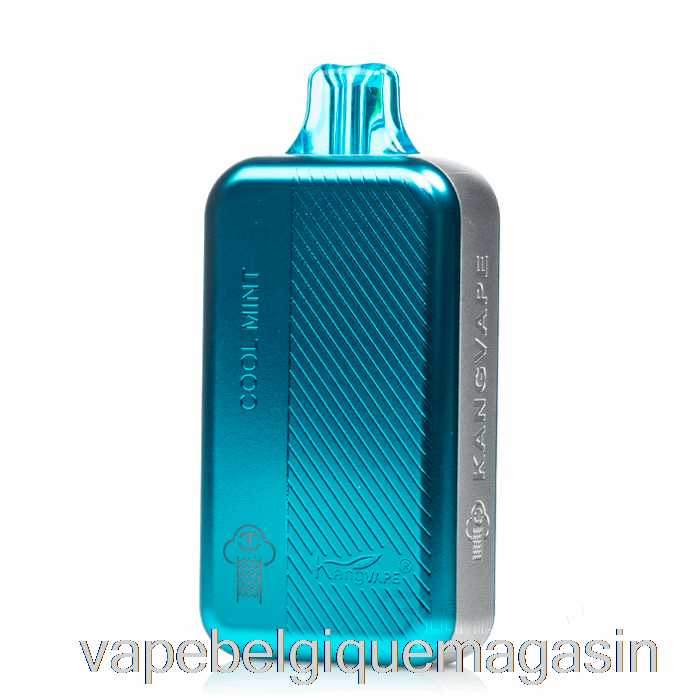 Vape Jetable Kangvape Tc8000 Menthe Fraîche Jetable